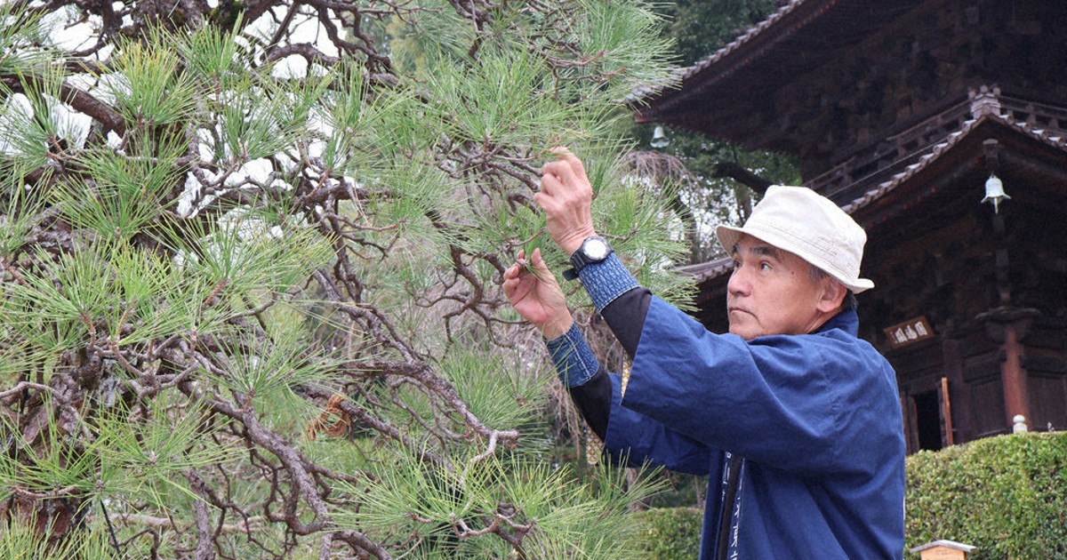 将棋盤【ホームラン。モデル】 SA160c.jpg