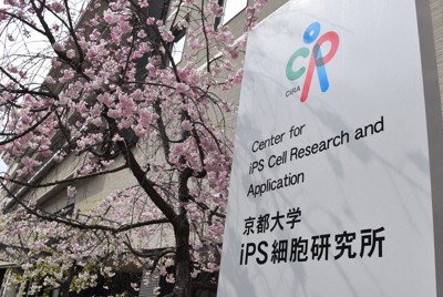京都大iPS細胞研究所＝京都市左京区で2025年4月8日午後2時14分、中村園子撮影