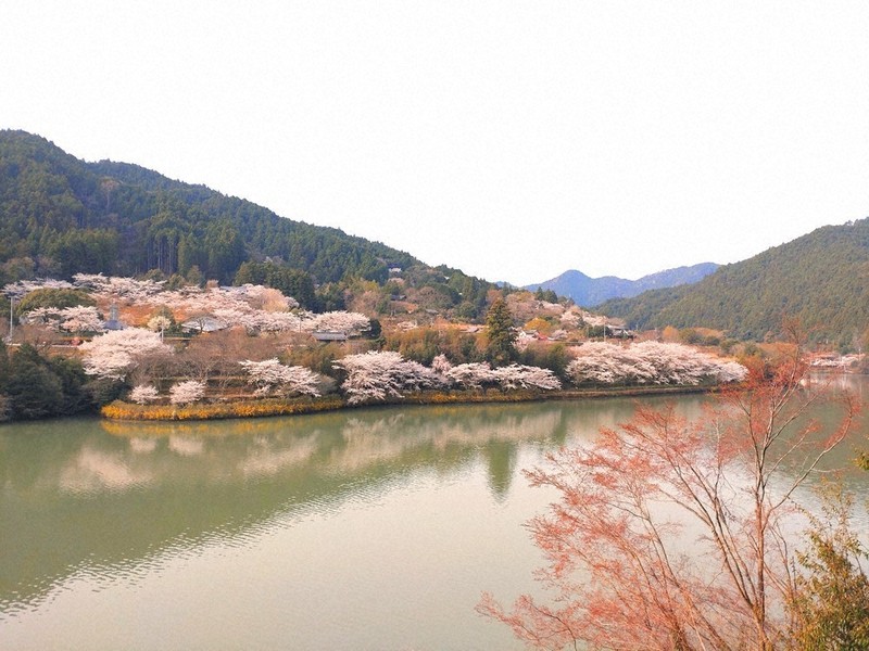 わたしのふるさと便：イチオシマップ 徳島県 那賀町「未来コンビニ