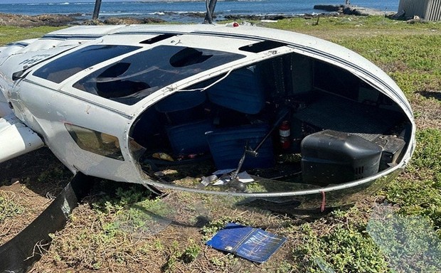 ペンギンが原因でヘリが墜落」 南ア航空当局、1月の事故で指摘 | 毎日新聞