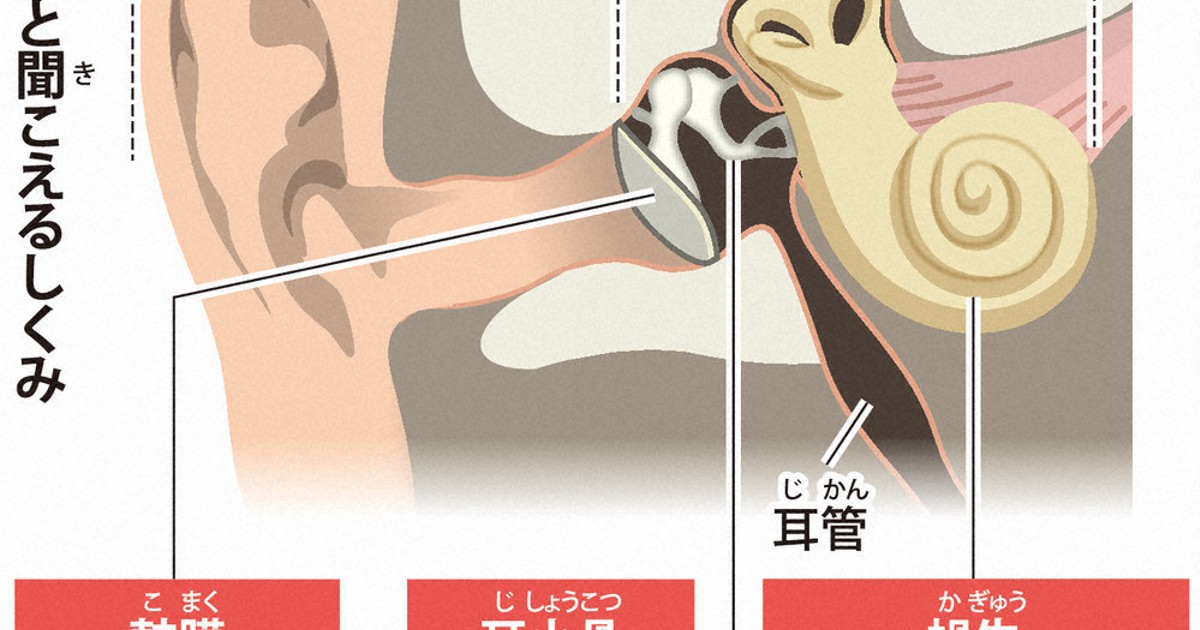 疑問氷解：なぜ音は遠いと聞こえないの？ | 毎日新聞