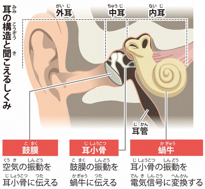 疑問氷解：なぜ音は遠いと聞こえないの？ | 毎日新聞