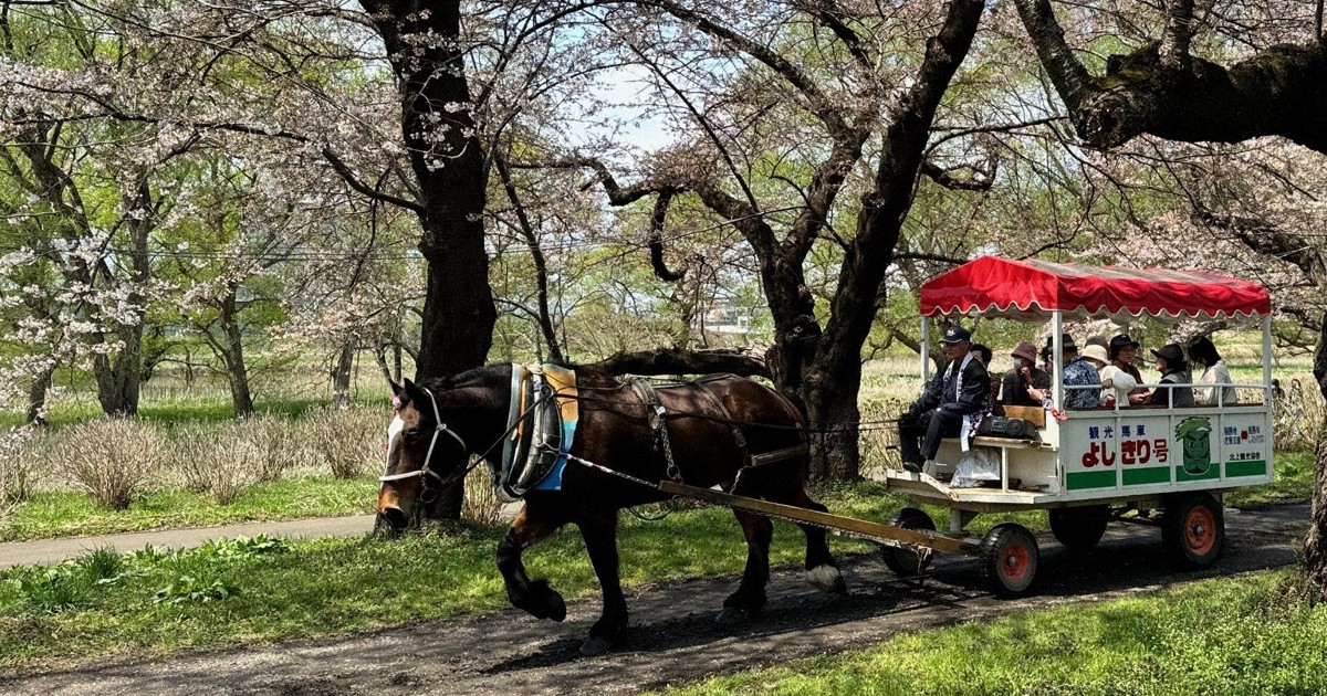 馬車が走る 0c10.jpg?1