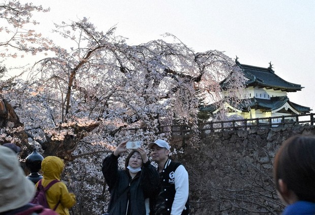 In Photos: Crowds gather to see cherry blossoms at iconic park in