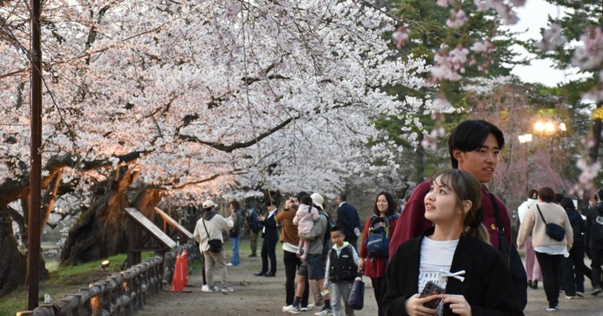 In Photos: Crowds gather to see cherry blossoms at iconic park in