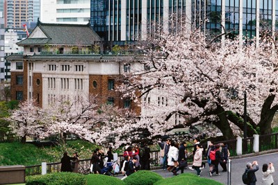 田安門橋に人があふれる。背後は九段会館テラス＝東京都千代田区で2025年3月31日、中村琢磨撮影