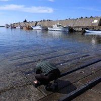 ウトロ漁港で海水に手を浸ける男性。男性の長男の小柳宝大さんは事故で行方不明となっている＝北海道斜里町で2025年4月23日午後2時7分、宮間俊樹撮影
