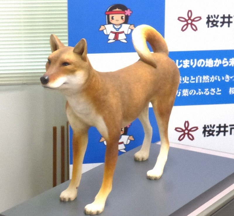 纒向犬」に愛称つけて 卑弥呼の里「シンボルに」 桜井 ／奈良 | 毎日新聞