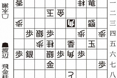 棋譜データブックス 第59期将棋名人戦順位戦パーフェクトデータ