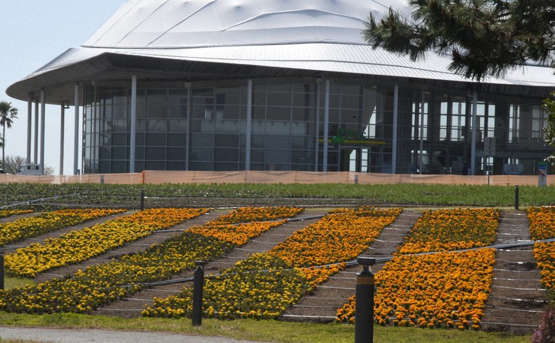中国地方最大級の花畑、きょうオープン 山口きらら博記念公園 ［写真