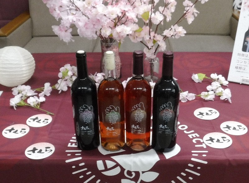 桜香る、華やかワイン 桜酵母使い共同開発 福山大×山野峡大田