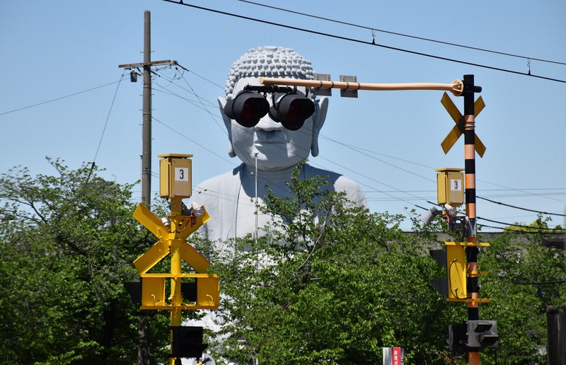 探訪珍スポット：その瞬間だけ「サングラス大仏」 SNSで一躍「映え