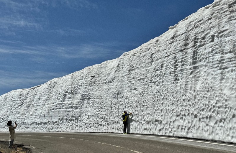 八幡平アスピーテラインの「雪の回廊」 今季は積雪多く、見応え抜群