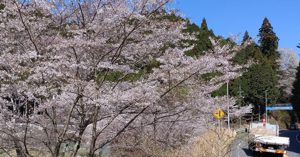 現場百変：「桜の森の満開の下」坂口安吾（滋賀県甲賀市・三重県亀山市