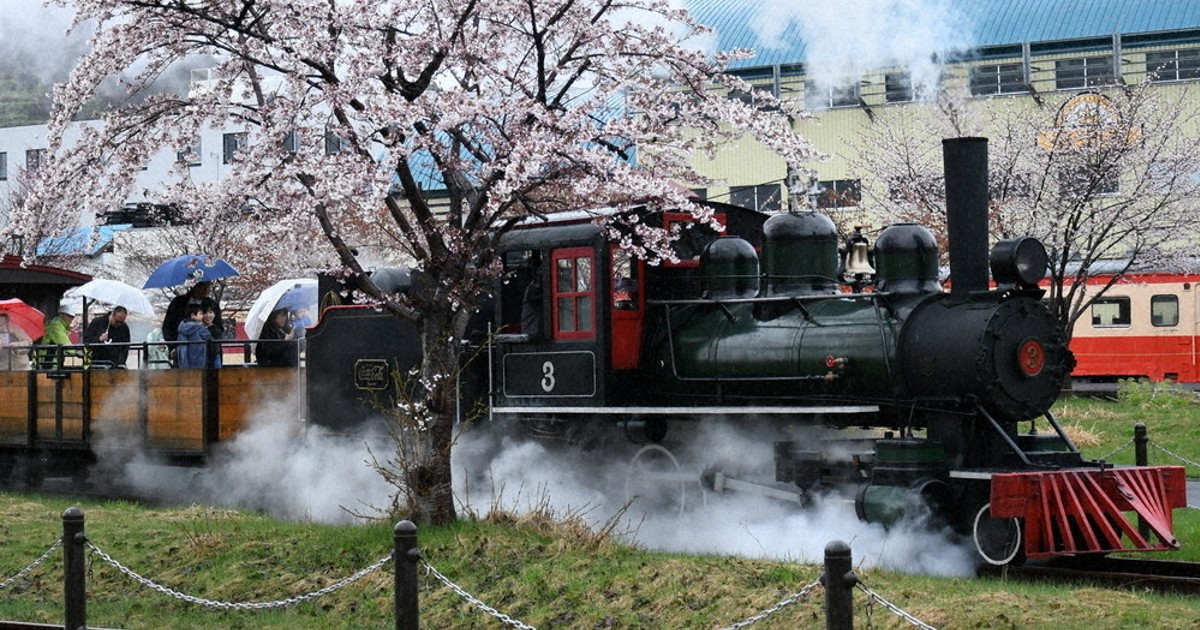 春雨、桜 進む白煙 アイアンホース号、小樽で今季初運行 ／北海道