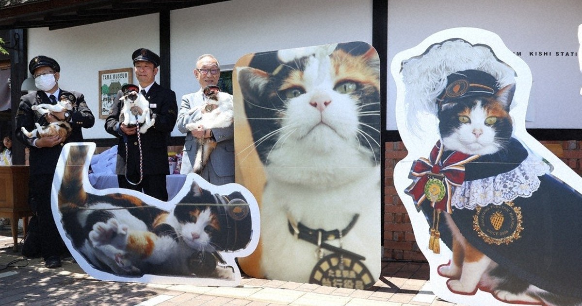 和歌山電鉄、たま駅長をしのぶジャンボパネル展示 フォトラリーも