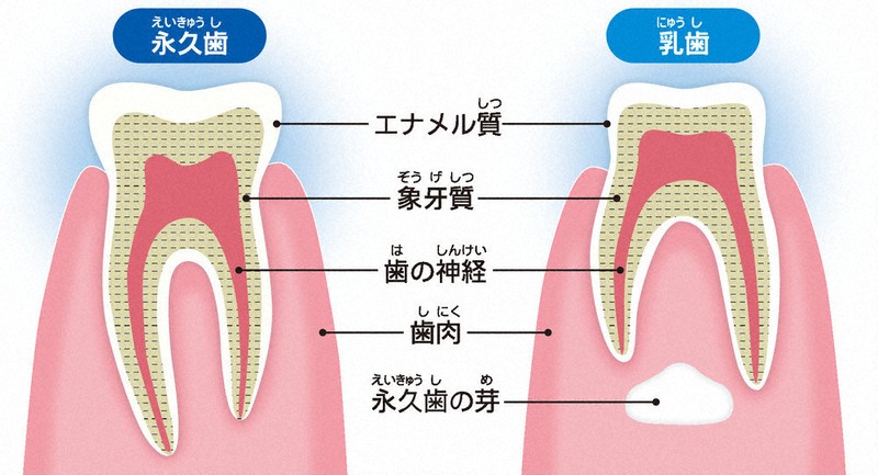 ニュース知りたいんジャー：毎日のケアが重要 健康を支える大切