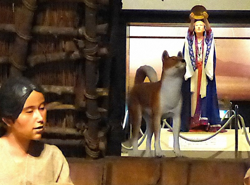 再注目される大阪の弥生犬模型「カイト」 奈良の纒向犬復元のモデル