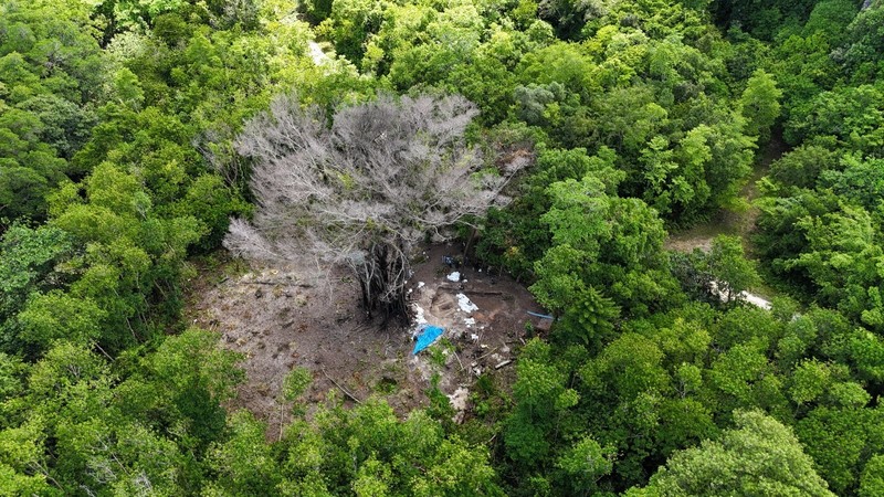 戦没者の遺骨収容、進む調査の多角化 それでも残る数々の課題