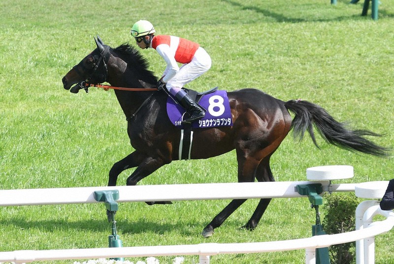 サトノダイヤモンド 新馬戦から2017天皇賞・春まで国内全１０戦現地単勝馬券 JRAホームページ｜データファイル｜競走成績データ