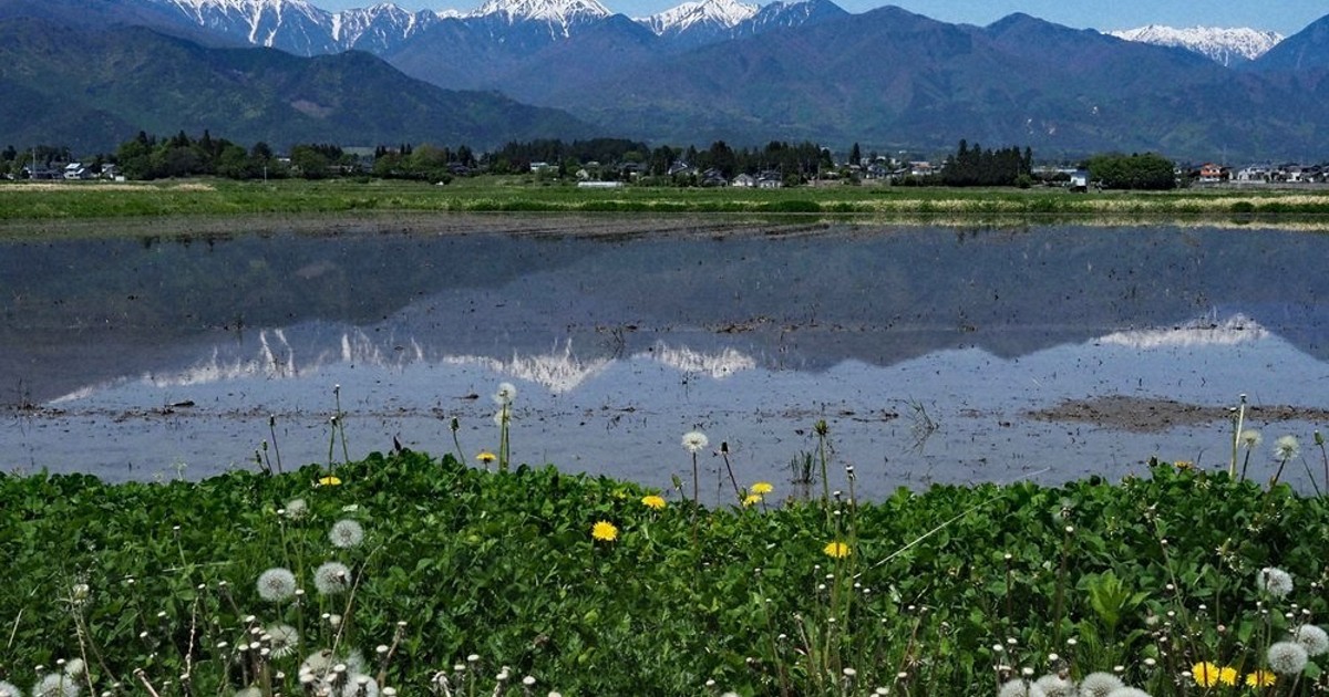 水鏡」に春の山々 安曇野 ／長野 | 毎日新聞