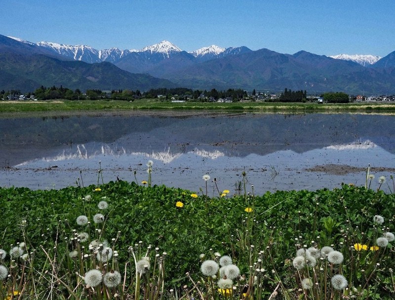 水鏡」に春の山々 安曇野 ／長野 | 毎日新聞