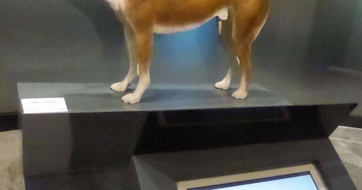 死者に供えるいけにえ？ 外飼いの番犬？ 弥生犬「カイト」再注目 雌犬