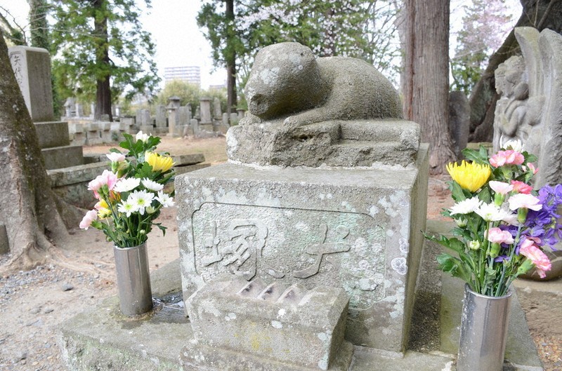 江戸時代の忠犬「白」 ワンダフルジャーニー 主人に代わり1匹で