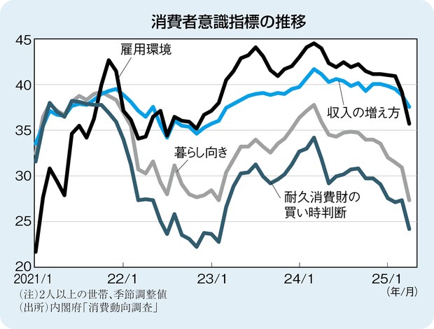 家計消費の動向 消費動向調査年報 平成１９年版/国立印刷局/内閣府経済社会総合研究所（大型本） 家計消費の動向 消費動向調査年報 平成19年版/国立印刷局/内閣府