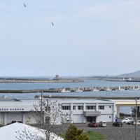 ホタテ水産加工が盛んな紋別市の海＝紋別市で2025年5月14日、本多竹志撮影