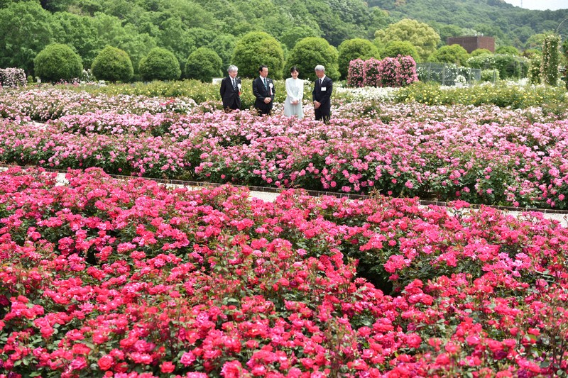 佳子さまが全国都市緑化祭に参加 可児市のぎふワールド・ローズ
