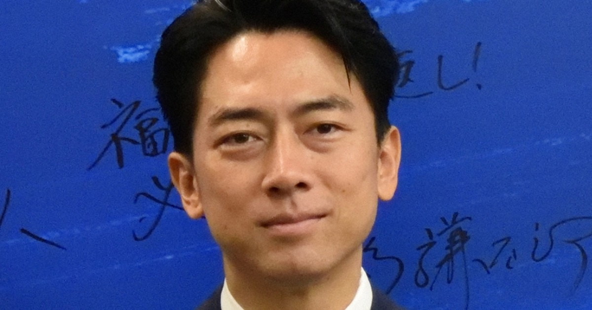 世界に1枚? 激レア 小泉 進次郎 クッション カバー 小泉 米 自民党 備蓄 小泉進次郎農相 備蓄米の店頭価格「2000円」と明言 26日に事業者