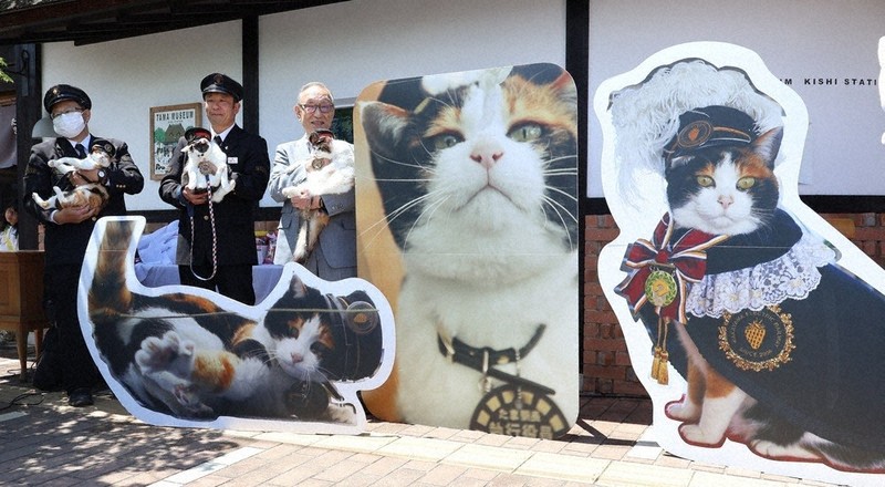 たま駅長　招き猫　置物　和歌山電鉄 毎小ニュース：話題 「永久駅長」偉大にかたどる 「たま」ジャンボ