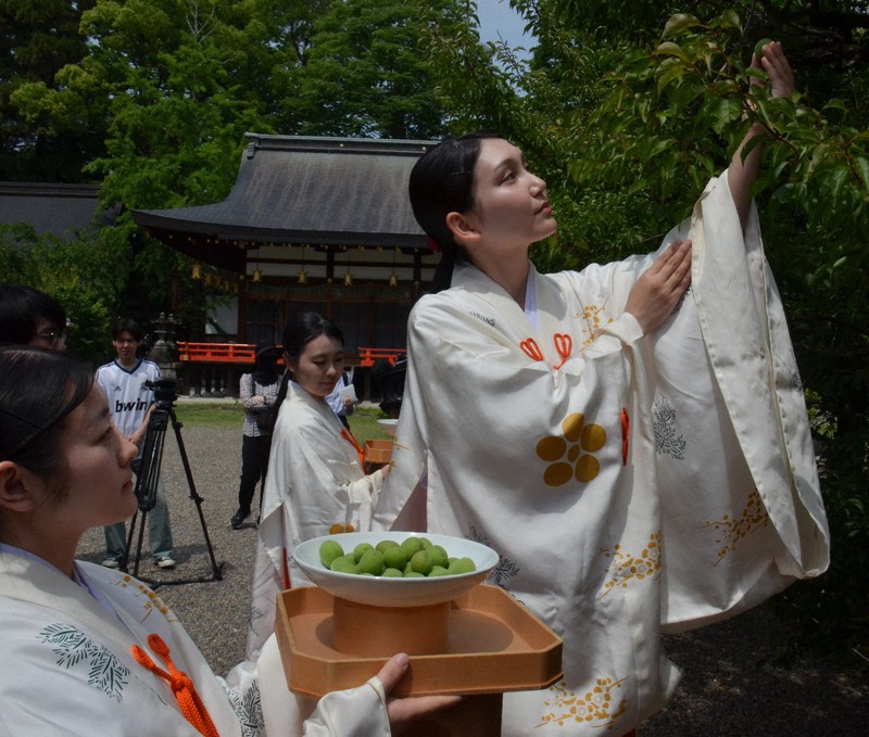 訪問着　フルセット　春待ちの梅景色　雀　梅　手書き　天満宮　着物　I3 訪問着 フルセット 春待ちの梅景色 雀 梅 手書き 天満宮 着物 I3 訪問