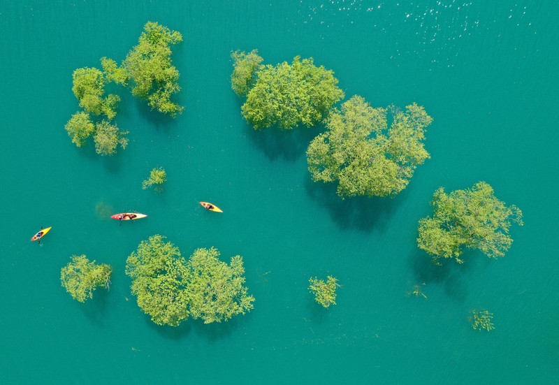 癒やしを旅して：美しき新緑、エネルギーもらう 秋田・秋扇湖の水没林