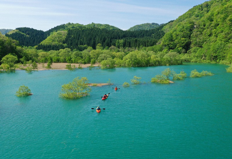 癒やしを旅して：美しき新緑、エネルギーもらう 秋田・秋扇湖の水没林