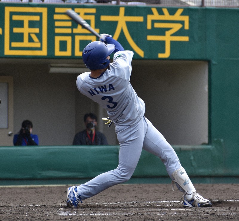 野球専門 楽天市場】【レビュー特典あり】【ブランド直営店】ZEPPELIN