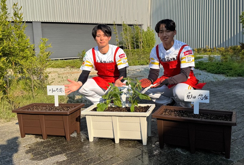 小学校から風船で届いたのは「ヒマワリの種」　ホークス選手が手植え