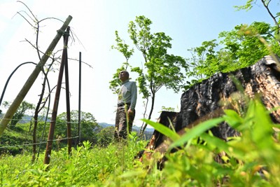 有馬溫泉附近山林建物火災 兩名長者受傷