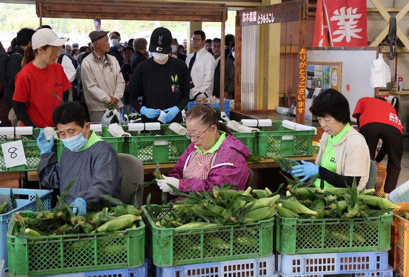 いみる！　静岡県遠州森のとうもろこし20本 朝採り 産地直送 森町産 朝採れとうもろこし ※限定数完売しました｜きみくら