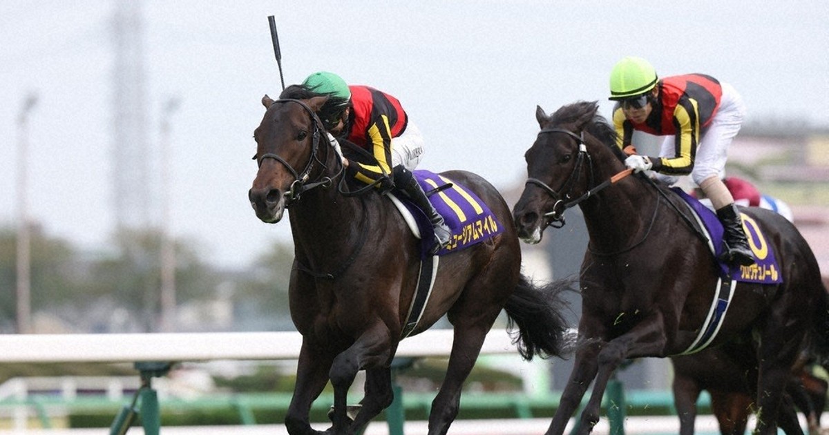クロワデュノール 新馬戦 馬券 m39186431363_1.jpg?1748775213