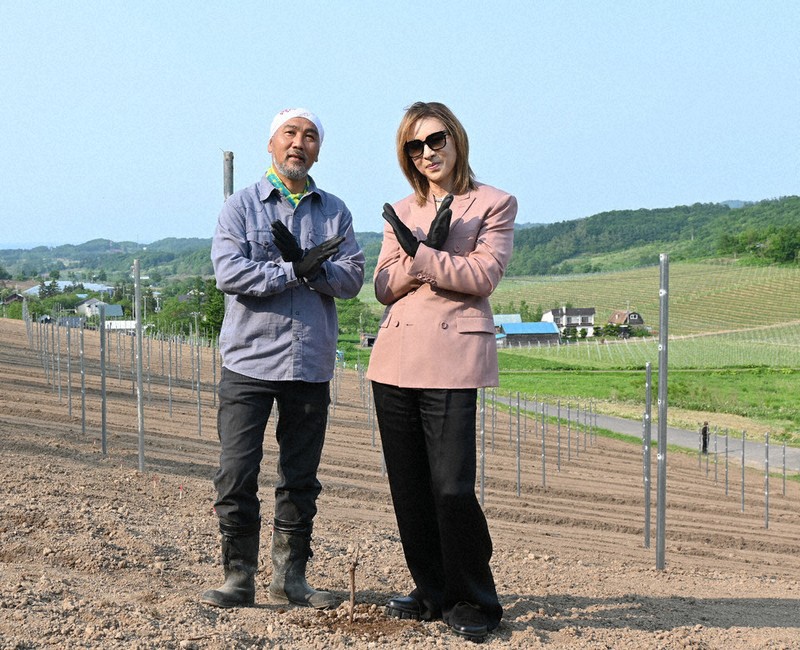 YOSHIKIさん手がけるワインブランド 余市に専用ブドウ畑 初の国内栽培