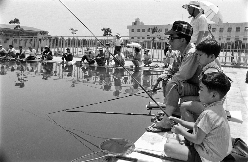 1969年の父の日。お父さんのために小学校のプールで魚釣り大会を開催＝大阪市東淀川区の大桐小で1969（昭和44）年6月15日
