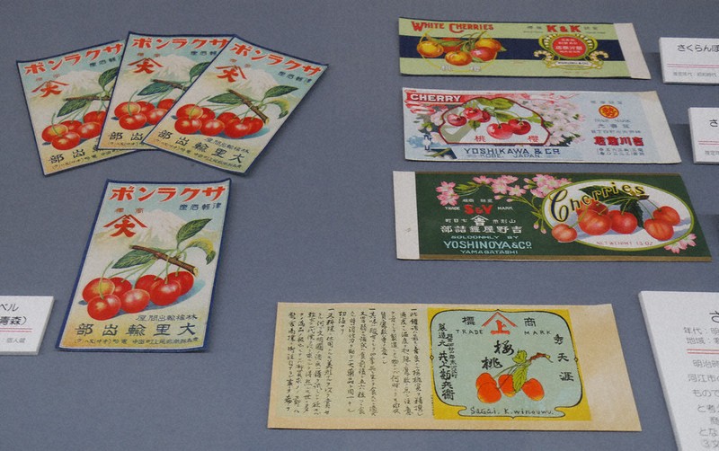 さくらんぼあんじゅ様❣️専用ページ 楽天市場】「山形さくらんぼーど」6枚入(個包装)／佐藤錦使用／菓子