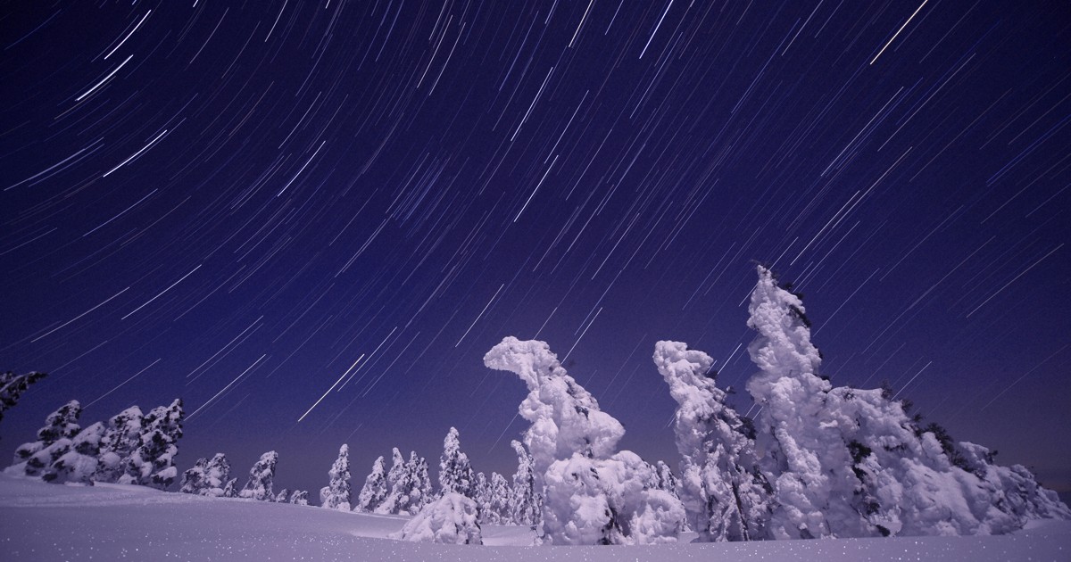 の*る様 氷雨　超美株　大きめ Beautiful Jungle：目指せ「蔵王越え」 氷ノ山で「スノーモンスター