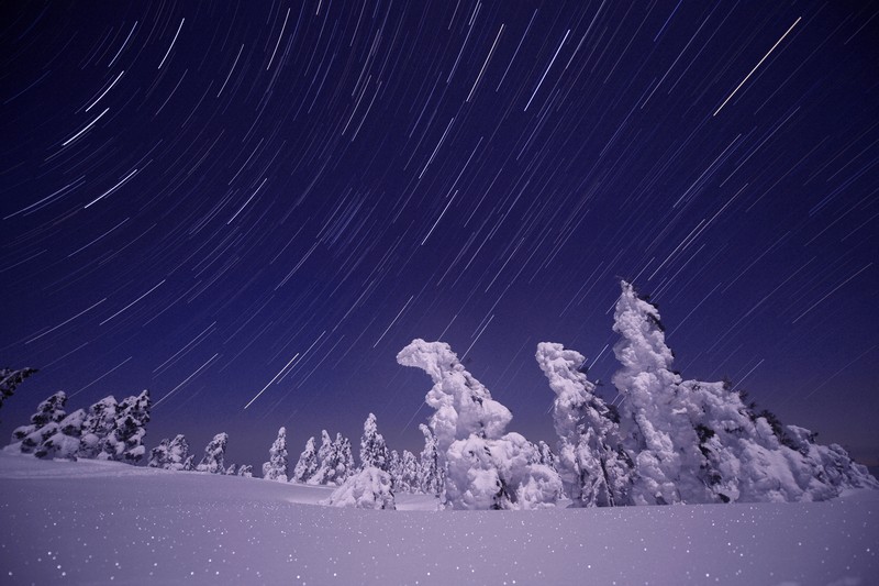 Beautiful Jungle：目指せ「蔵王越え」 氷ノ山で「スノーモンスター