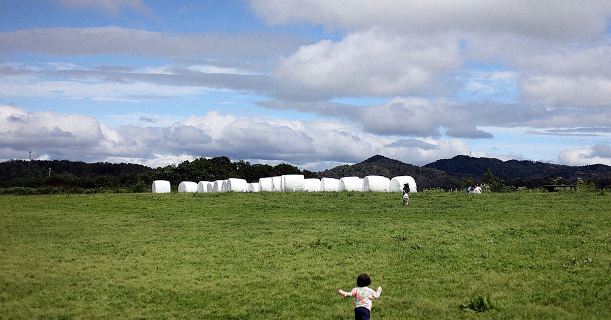 Meadow Road 　牧草地の道 Meadow Road 牧草地の道 Meadow Road 牧草地の道