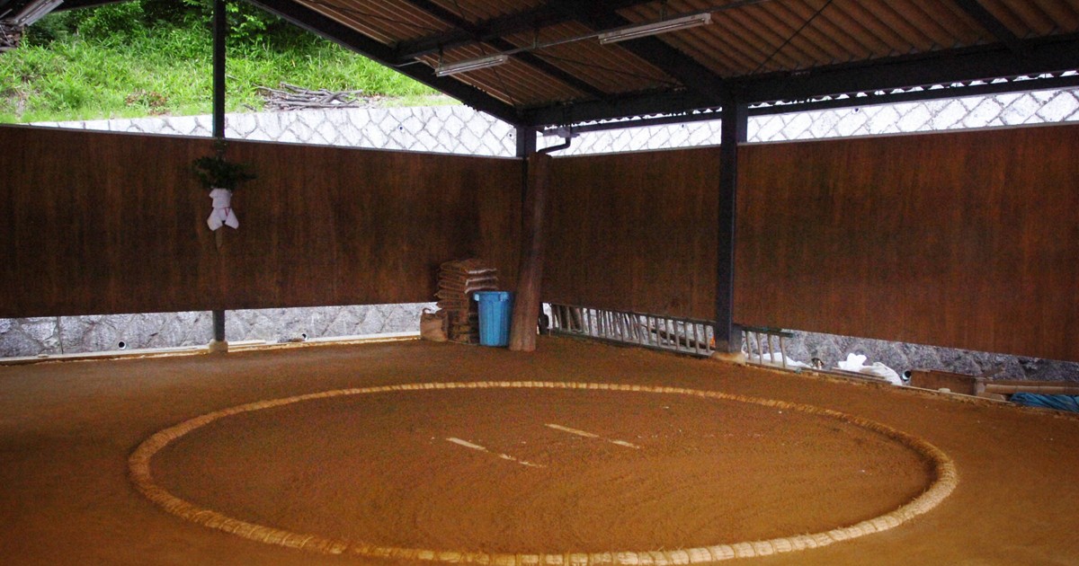 死亡した17歳の力士がぶつかりげいこを受けた土俵＝愛知県犬山市で2007年6月28日、小林努撮影