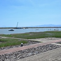 ムツゴロウが多く生息する六角川の河口域＝佐賀県小城市で2025年6月4日、野田武撮影