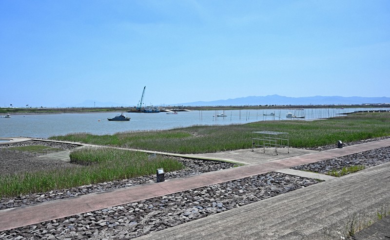 ムツゴロウが多く生息する六角川の河口域＝佐賀県小城市で2025年6月4日、野田武撮影